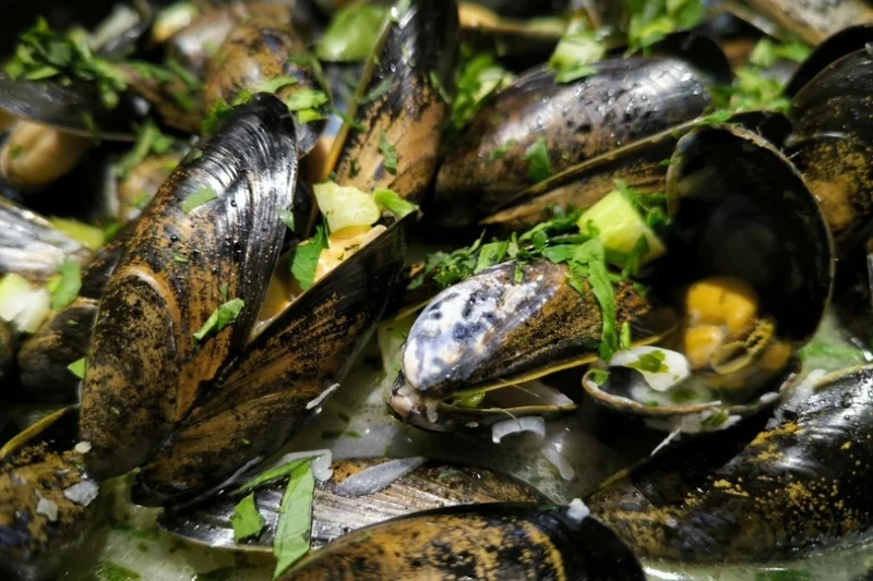 Středomořské degustační menu plné grilovaných mořských dobrot v centru Prahy pro 2 osoby - foto 03