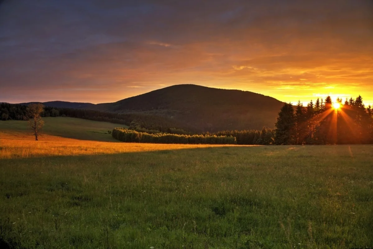 Šumavské bylinné lázně pro dva - Parkhotel Šumava - foto 02