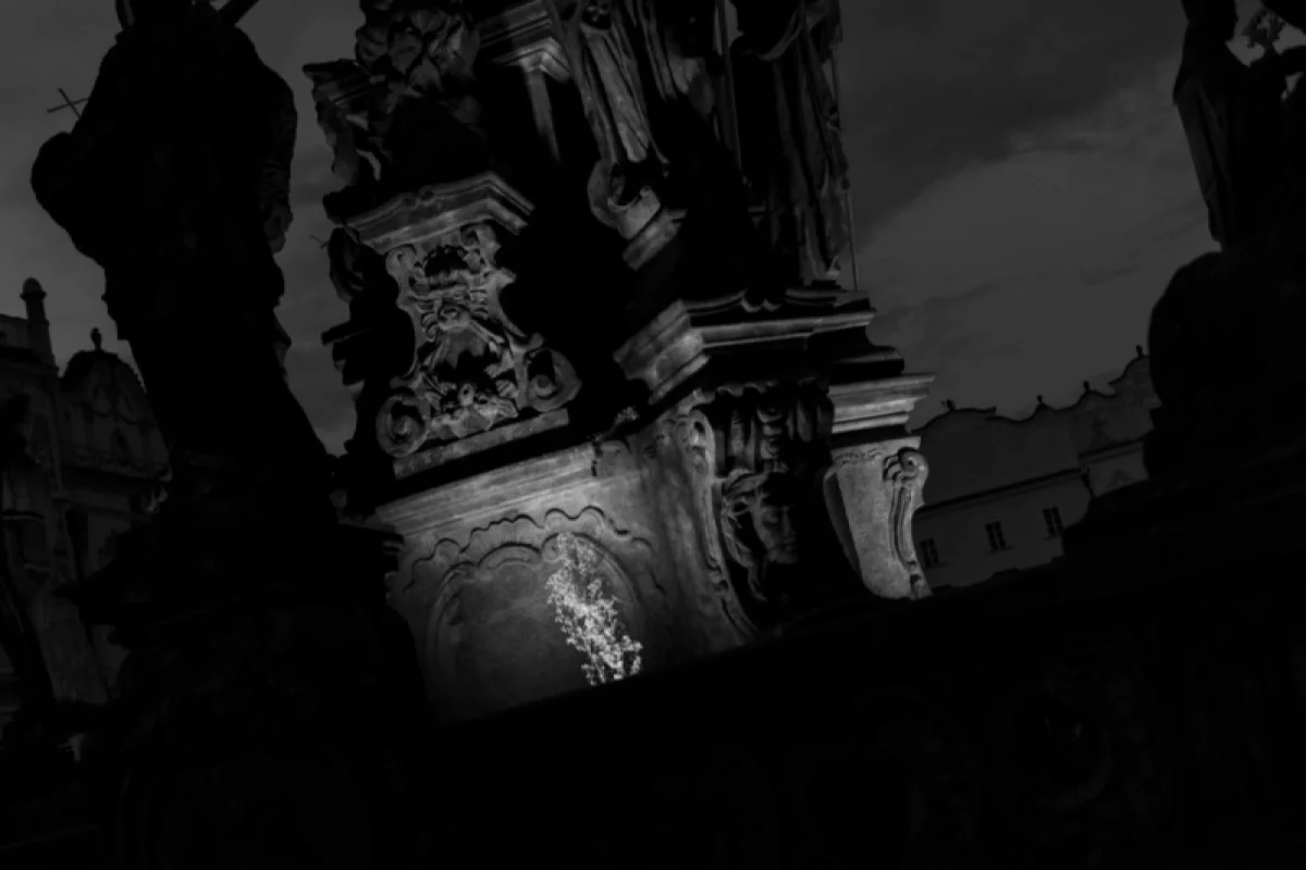 Tajemný podezřelý: Venkovní úniková hra - foto 06