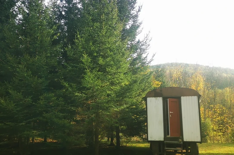 Terapie tmou: Pobyt ve tmě na jižní Moravě - foto 04