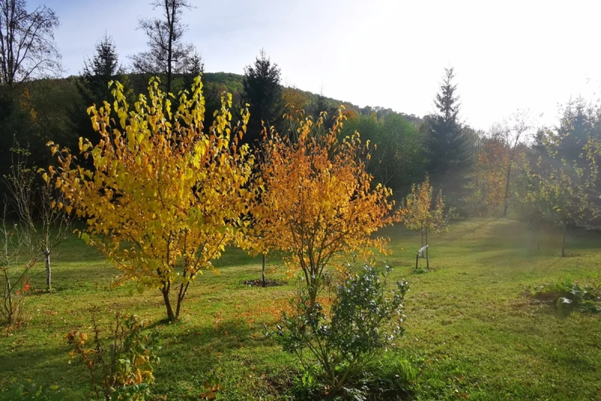 Terapie tmou: Pobyt ve tmě na jižní Moravě - foto 05