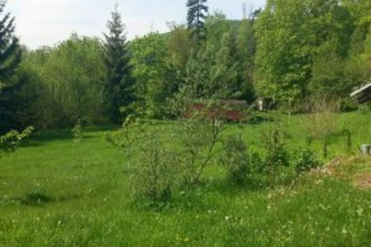 Terapie tmou: Pobyt ve tmě na jižní Moravě - foto 06