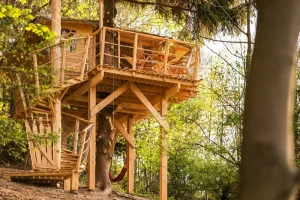 Ubytování v treehousu se saunou a výhledem na Ještěd - foto 01