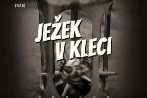 Úniková hra: Ježek v kleci - foto 01