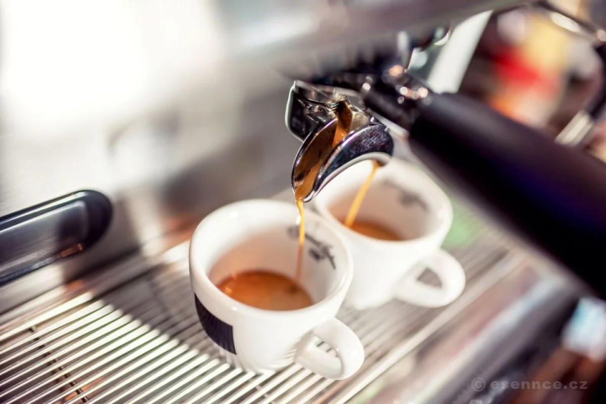 Universita del Caffe - Kurz kávy - foto 02