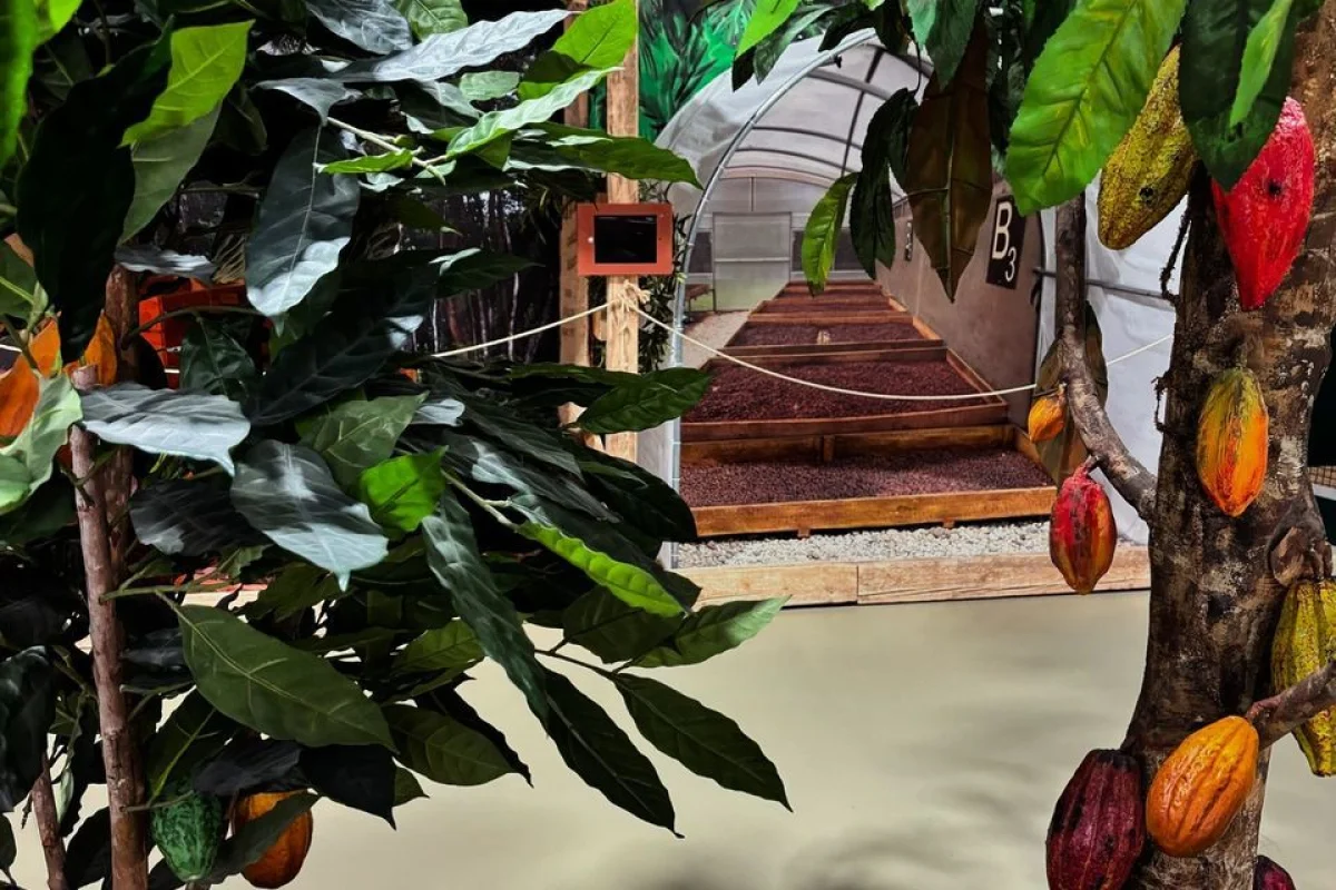 Úžasná návštěva čokoládového světa Chocotopia - prohlídka muzea a čokoládový workshop pro páry i rodiny s dětmi - foto 03