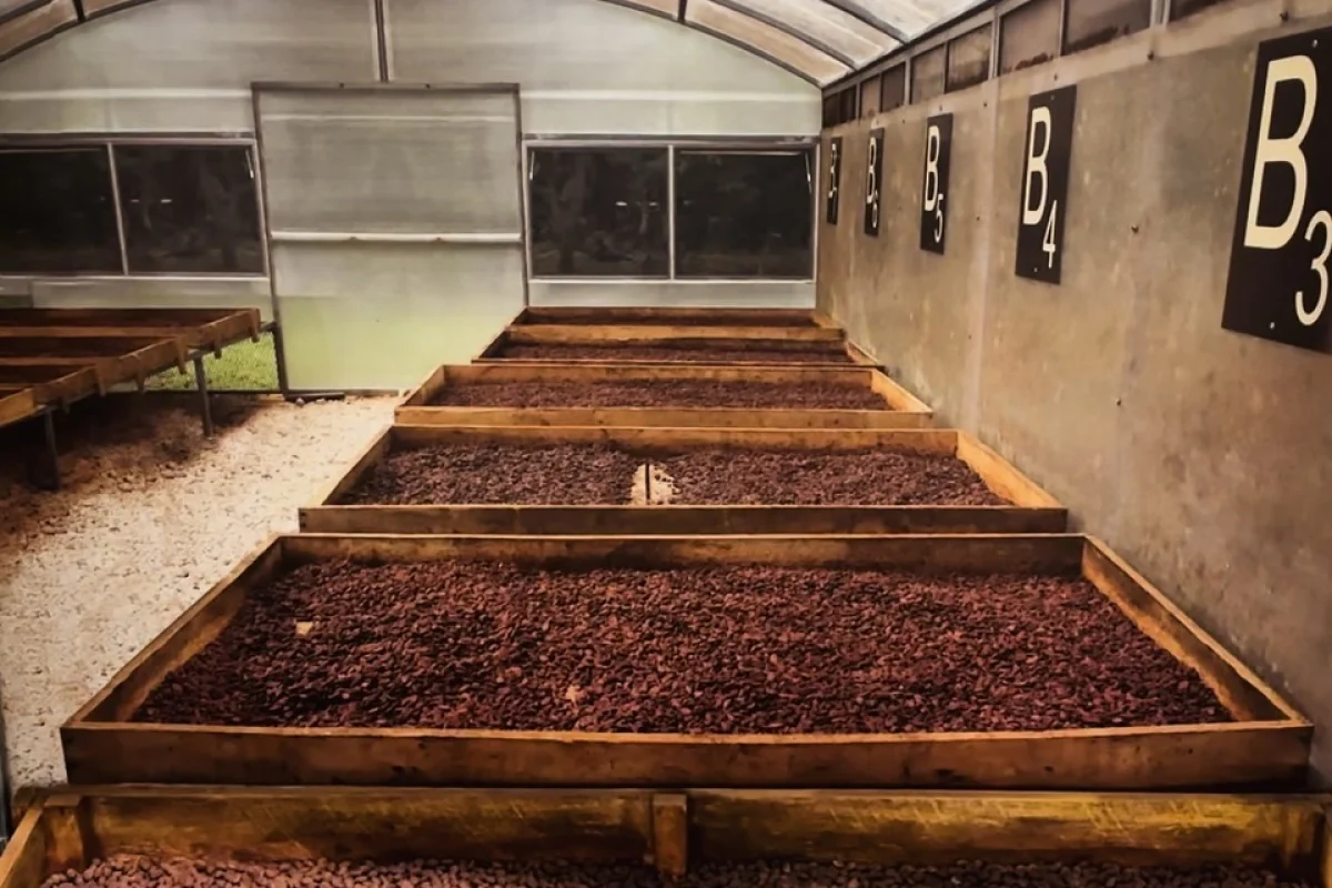 Úžasná návštěva čokoládového světa Chocotopia - prohlídka muzea a čokoládový workshop pro páry i rodiny s dětmi - foto 04