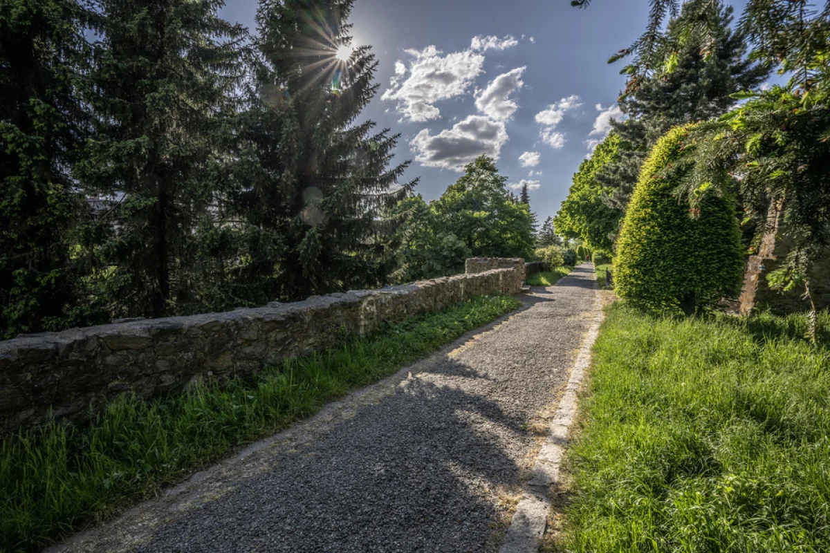 Velká stříbrná loupež: Odcizení jihlavského pokladu - venkovní úniková hra v Jihlavě - foto 04