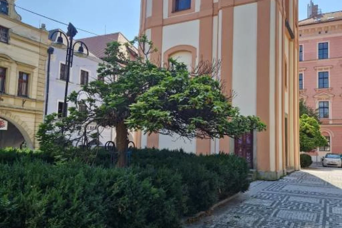 Venkovní úniková hra: Detektivní příběh - foto 05