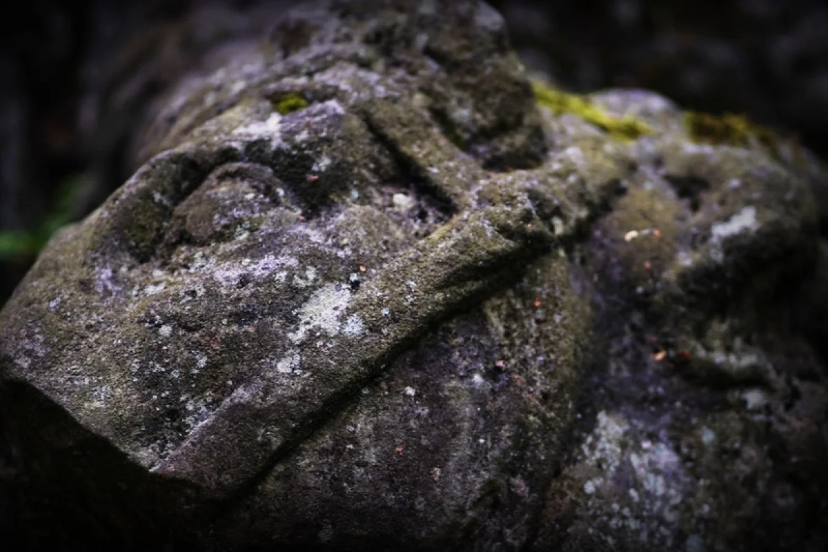 Venkovní úniková hra: Zakletá stezka - foto 03