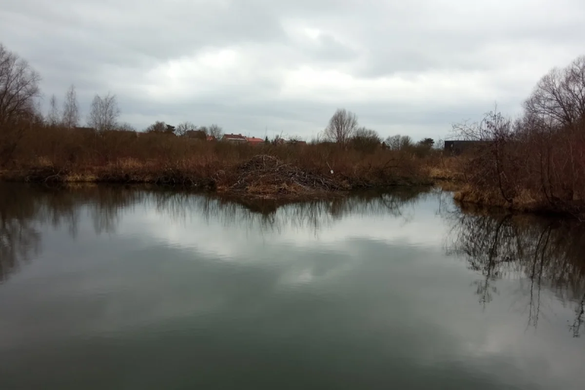 Venkovní úniková hra - Zkáza planety země - foto 04