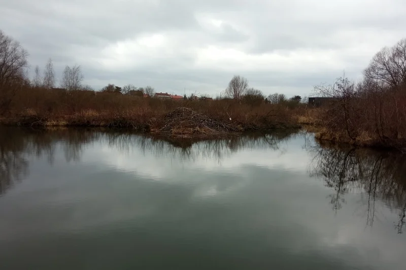 Venkovní úniková hra - Zkáza planety země - foto 04