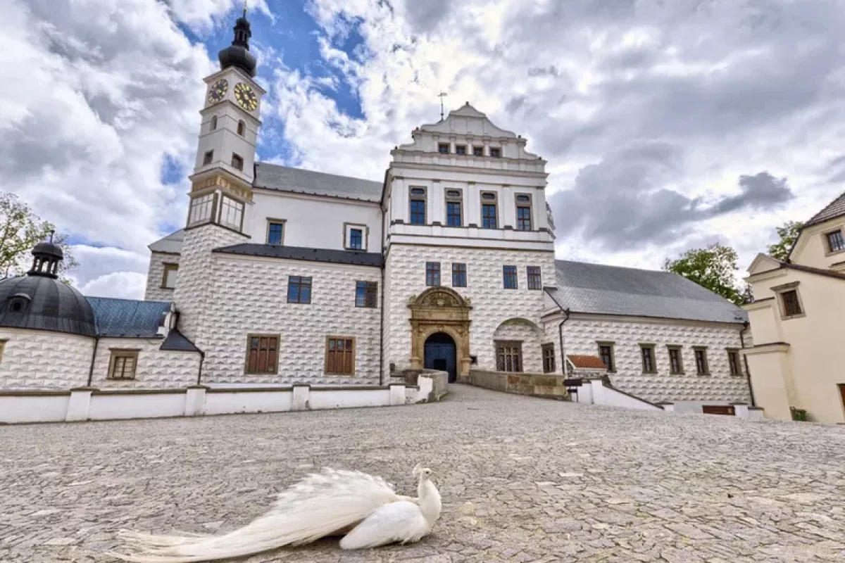 Venkovní únikové hry v českých městech - foto 08