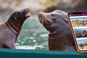 Venkovní únikovka v Zoo Lešná: Až 6 hráčů - foto 01