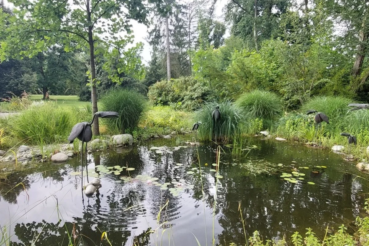 Venkovní únikovka v Zoo Lešná: Až 6 hráčů - foto 06