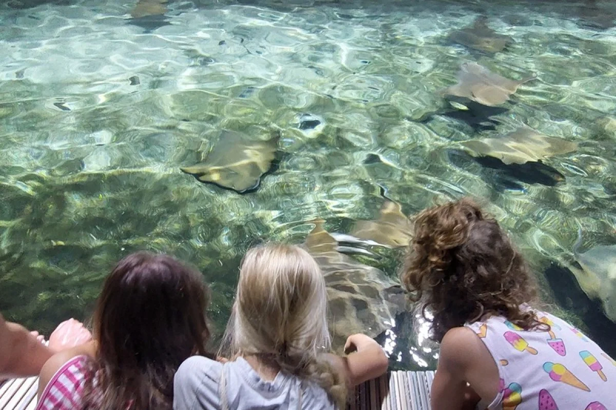 Venkovní únikovka v Zoo Lešná: Až 6 hráčů - foto 07