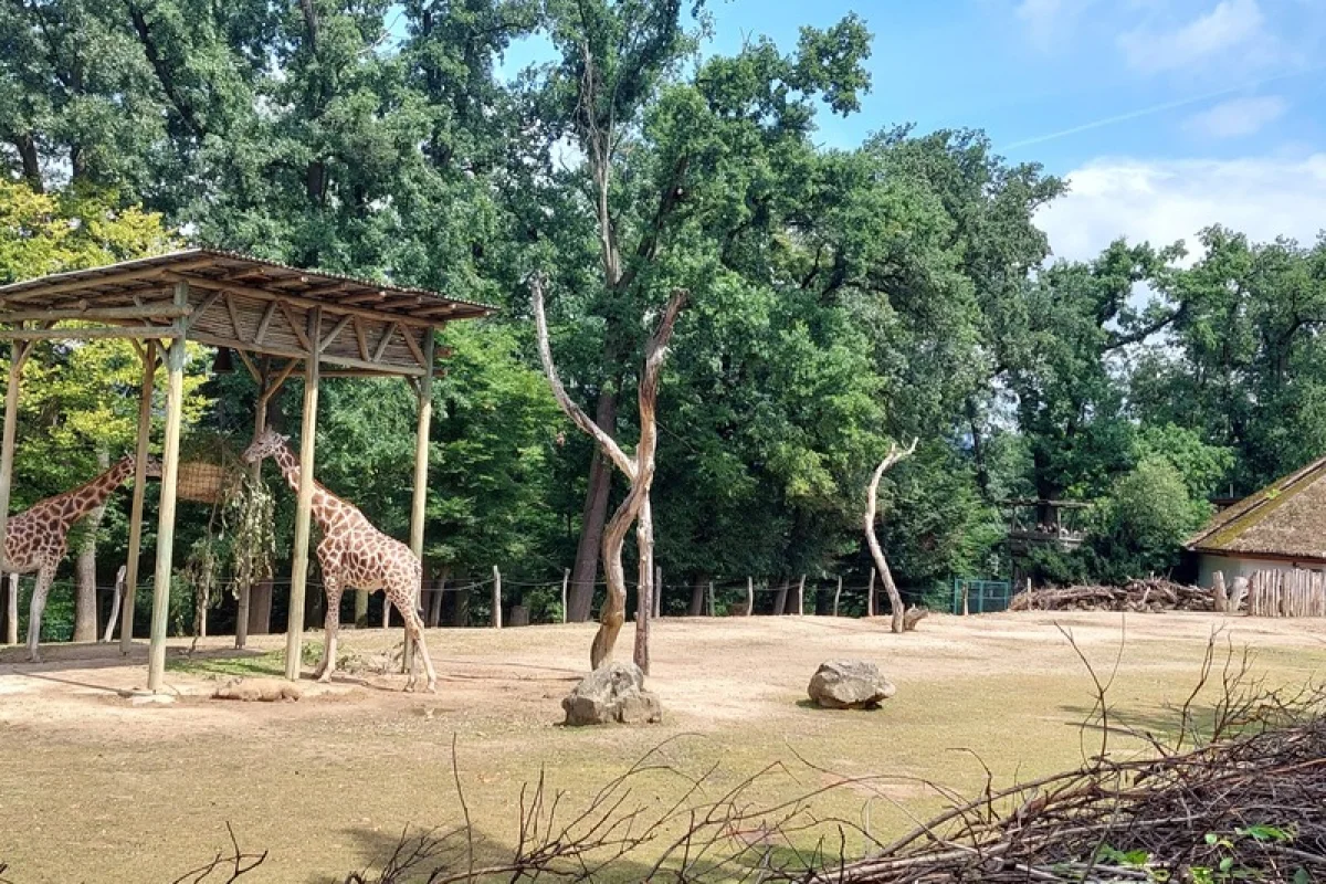 Venkovní únikovka v Zoo Lešná: Až 6 hráčů - foto 10