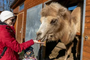 VIP vstup do Zoo Tábor s ošetřovatelem až pro 4 osoby - foto 01