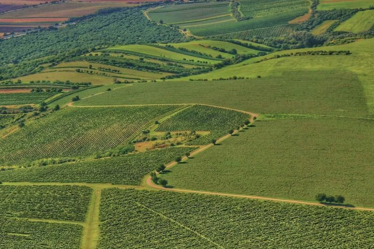 Vyhlídkový let letadlem nad krásami ČR - foto 10