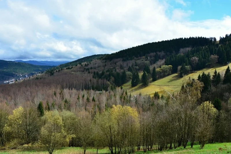 Wellness Hotel Hasištejn: Cyklo/běžkařský pobyt pro 2 - foto 04