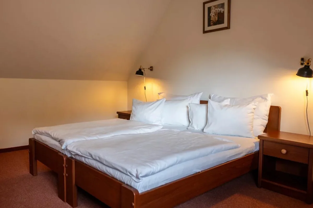 Wellness Hotel Hasištejn: Cyklo/běžkařský pobyt pro 2 - foto 06