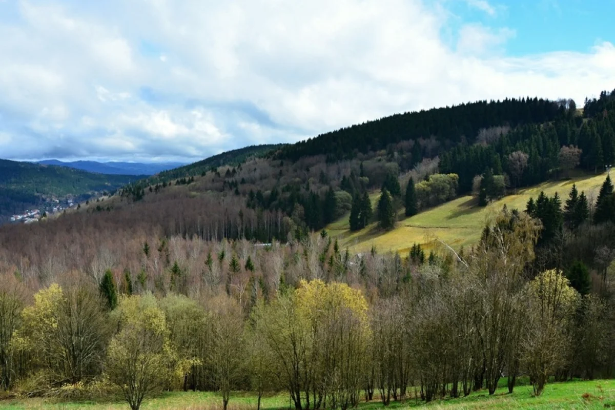 Wellness Hotel Hasištejn: Zážitkový romantický pobyt - foto 04