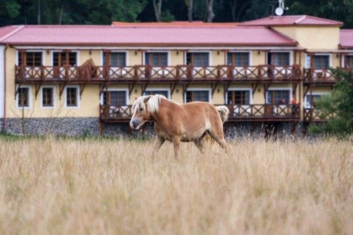 Wellness pobyt na statku Stein — třídenní odpočinek s polopenzí pro dva - foto 03