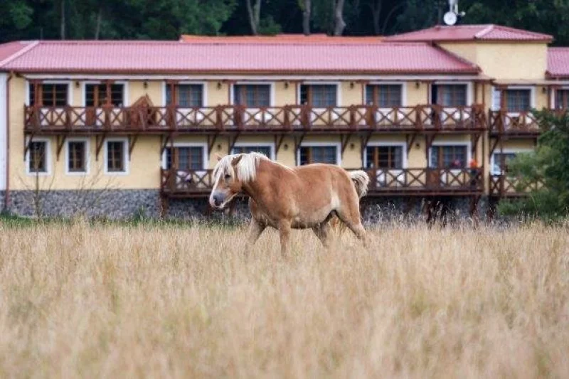 Wellness pobyt na statku Stein — třídenní odpočinek s polopenzí pro dva - foto 03