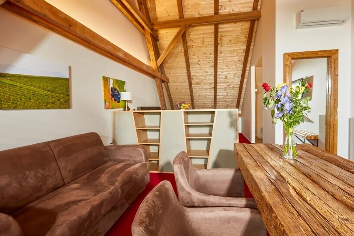 Wellness pobyt s polopenzí a privátní vinnou lázní ve vinařském Hotelu Ryzlink v Mikulově pro 2 osoby - foto 03