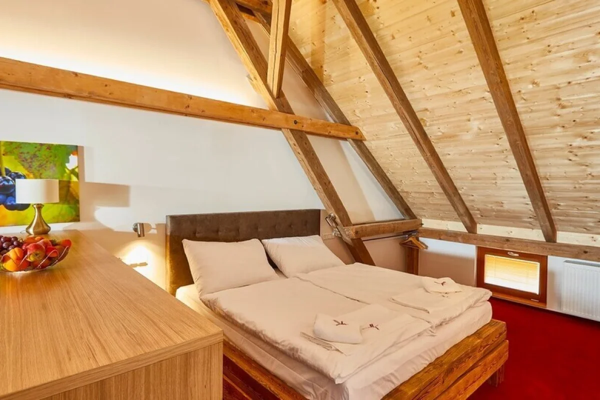 Wellness pobyt s polopenzí a privátní vinnou lázní ve vinařském Hotelu Ryzlink v Mikulově pro 2 osoby - foto 04