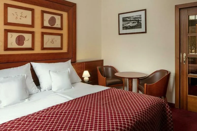 Wellness pobyt ve spa hotelu Villa Smetana - foto 03