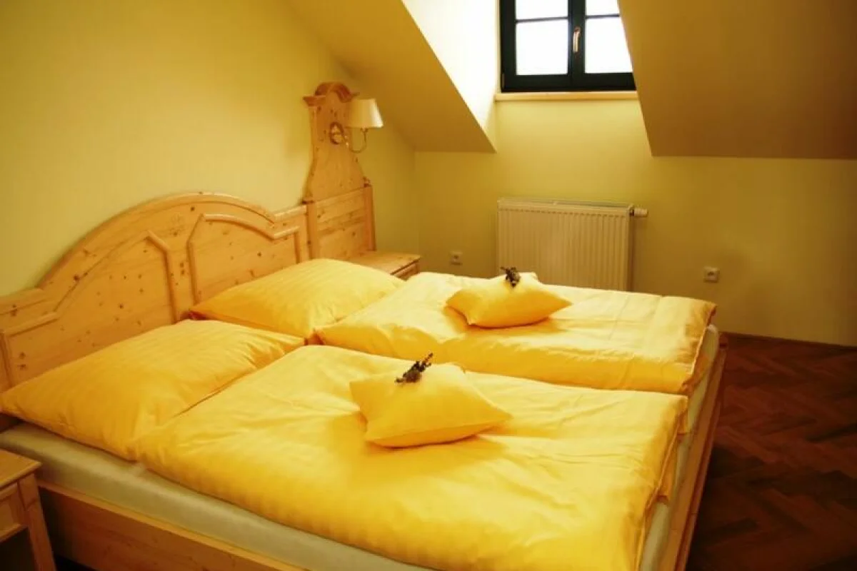 Wellness víkend na kouzelné Šumavě - foto 03