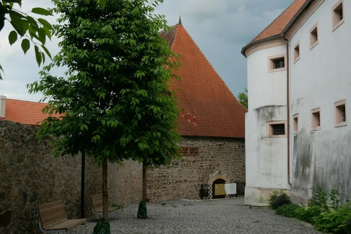 Za rohem číhá drak: Venkovní úniková hra - foto 05