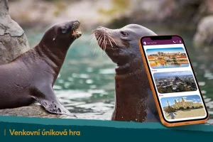 Záchrana lachtanů v Zoo Lešná - venkovní úniková hra - foto 01