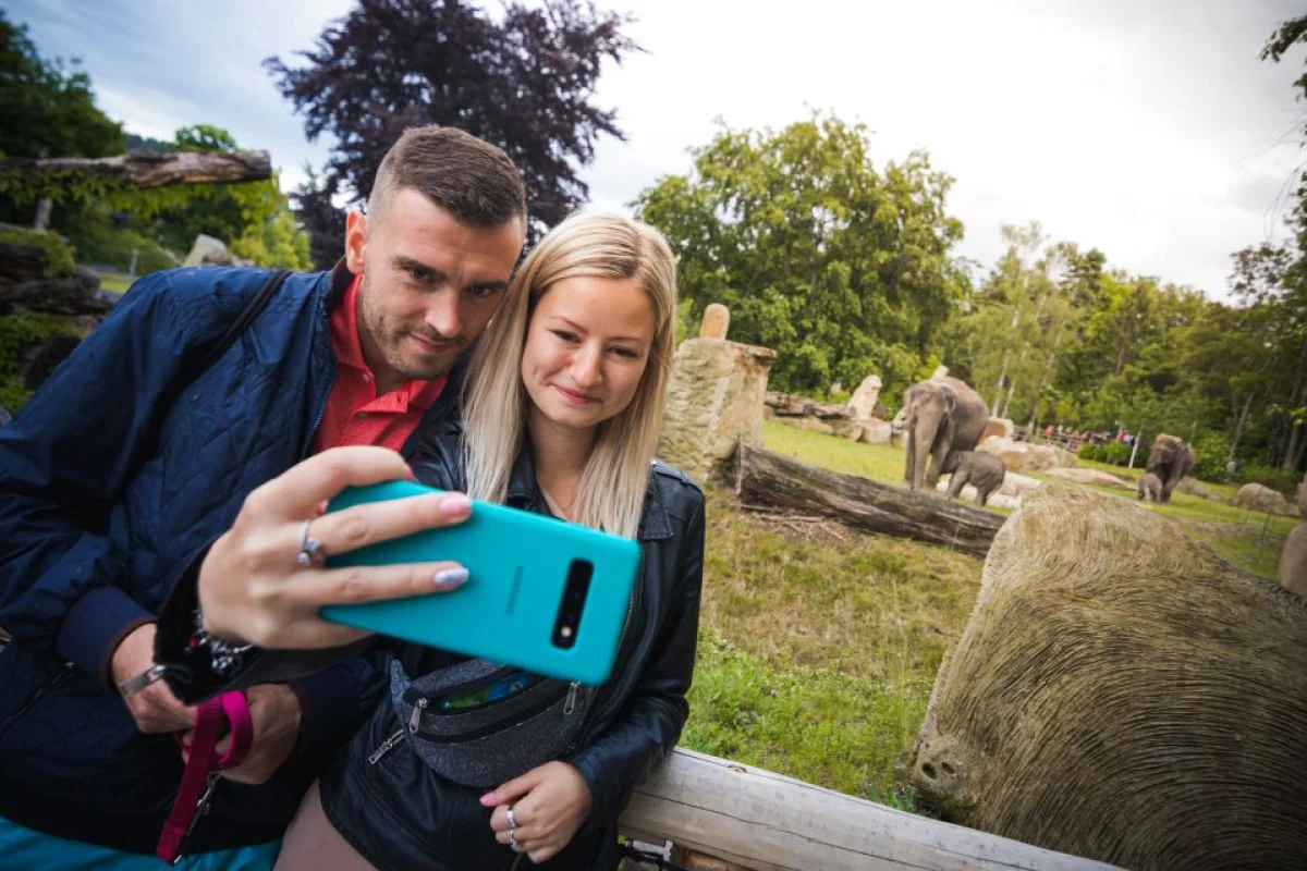 Záchrana lachtanů v Zoo Lešná - venkovní úniková hra - foto 05