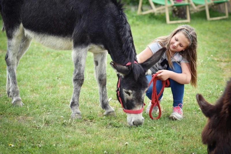 Zážitková návštěva oslí farmy včetně procházky s oslíkem - foto 03