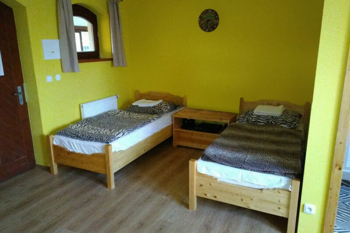 Zážitková noc v zoo - foto 10