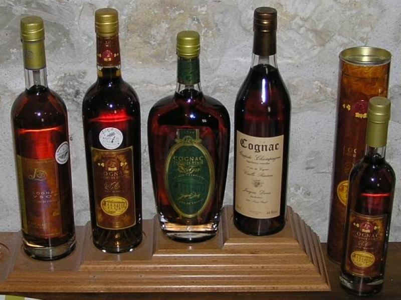 Degustace koňaků